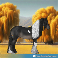 Horse Color:Gray Black Tobiano Rabicano
