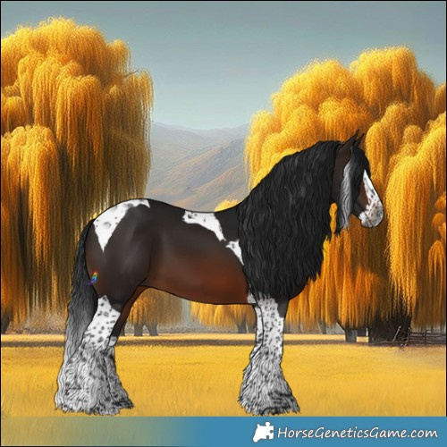 Horse Color:Gray Brown Splash Tobiano 