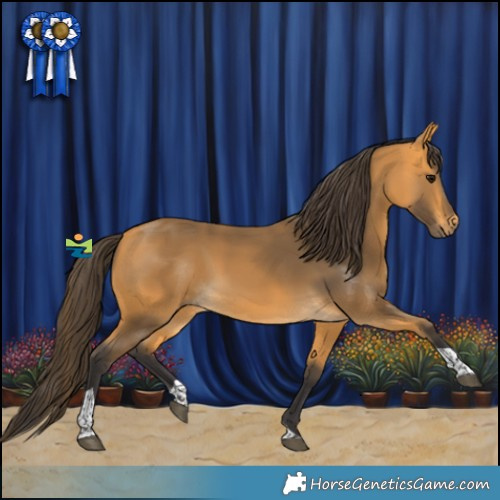 Horse Color:Buckskin Tobiano 