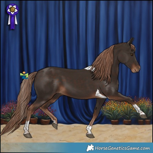 Horse Color:Liver Chestnut Tobiano 