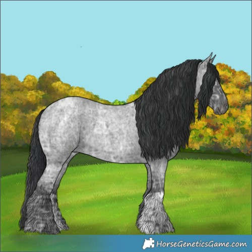Horse Color:Blue Ice Roan  and Blue Ice Roan 
