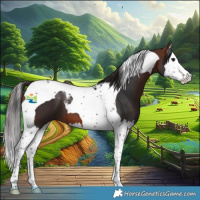 Horse Color:Bay Splash Tobiano 