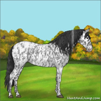 Horse Color:Blue Ice Roan  and Blue Ice Roan Near Leopard 