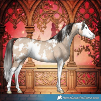 Horse Color:White Spotted Amber Champagne Dun Splash Rabicano 