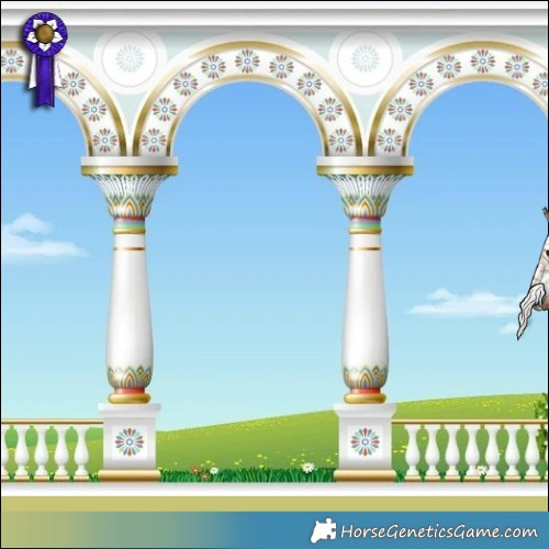 Horse Color:Silver Brown Dun Appaloosa Brindle 