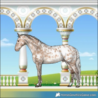 Horse Color:Silver Brown Dun Appaloosa Brindle