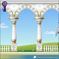 Horse Color:Silver Brown Dun Appaloosa Brindle 