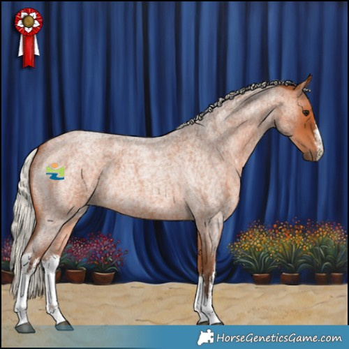 Horse Color:White Spotted Silver Bay Roan 