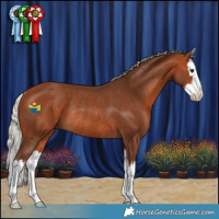 Horse Color:White Spotted Silver Bay Splash Rabicano 
