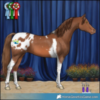 Horse Color:Chestnut Tobiano Appaloosa