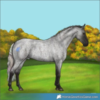 Horse Color:Nacre Midnight Silver Grullo Ice Roan 