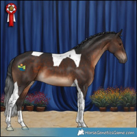 Horse Color:Brown Tobiano 