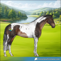 Horse Color:Brown Tobiano 