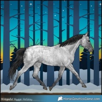 Horse Color:Blue Ice Roan and Blue Ice Roan Blanket