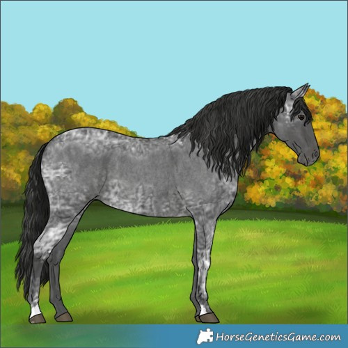 Horse Color:Blue Ice Roan and Gray Blue Ice Roan