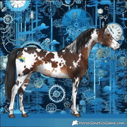Horse Color:White Spotted Brown Sabino 