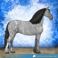Horse Color:Blue Ice Roan  and Blue Ice Roan 