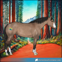 Horse Color:Liver Red Dun 