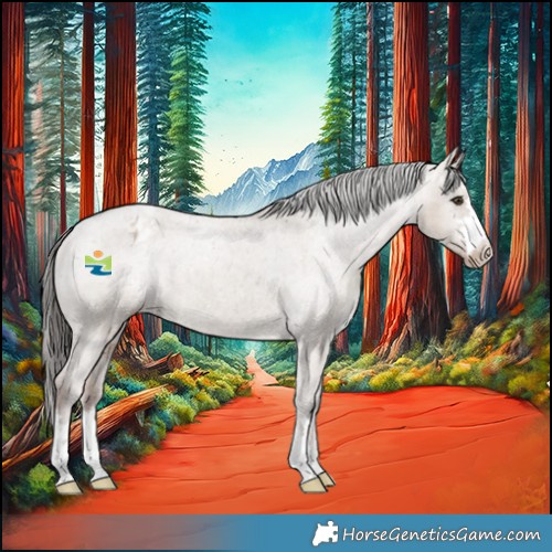 Horse Color:Liver Red Dun Appaloosa Brindle 