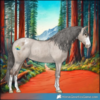Horse Color:Liver Red Dun Appaloosa Brindle 