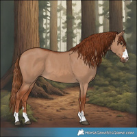 Horse Color:Red Dun 