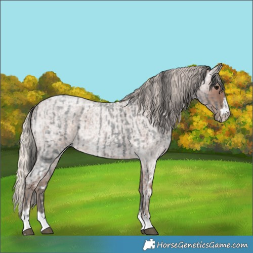 Horse Color:Blue Ice Roan  and Silver Blue Ice Roan 