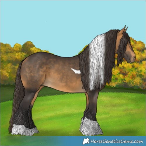 Horse Color:Buckskin Tobiano 