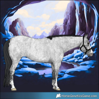 Horse Color:Blue Ice Roan  and Blue Ice Roan 