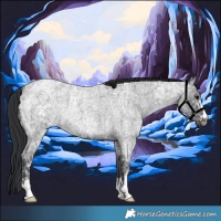 Horse Color:Blue Ice Roan and Blue Ice Roan
