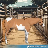 Horse Color:Chestnut Tobiano Rabicano