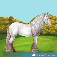 Horse Color:Gold Champagne Pearl Dun Rabicano  and Gray Gold Champagne Pearl Dun Rabicano 