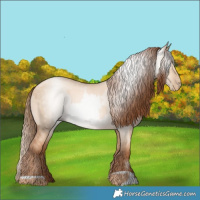 Horse Color:Gold Champagne Pearl Dun Rabicano and Gray Gold Champagne Pearl Dun Rabicano