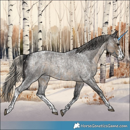 Horse Color:Blue Ice Roan  and White Spotted Silver Smoky Blue Roan 