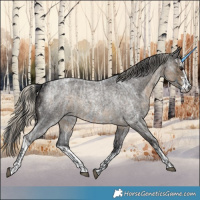 Horse Color:Blue Ice Roan  and White Spotted Silver Smoky Blue Roan 