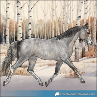 Horse Color:Blue Ice Roan and White Spotted Silver Smoky Blue Roan