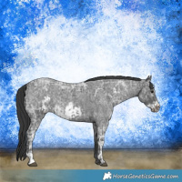 Horse Color:Blue Ice Roan  and Blue Ice Roan Frame 