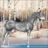 Horse Color:Silver Black Chinchilla Sabino 