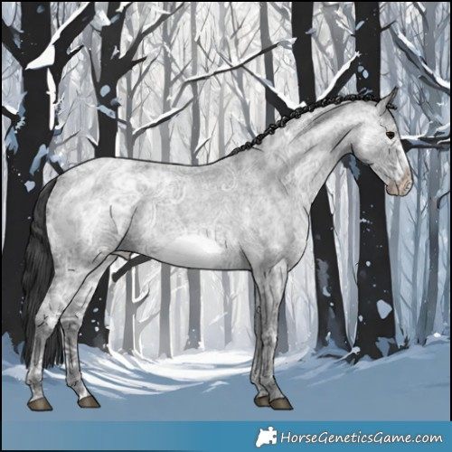 Horse Color:Blue Ice Roan  and Blue Ice Roan Frame 