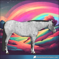 Horse Color:Blue Ice Roan and Blue Ice Roan