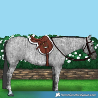 Horse Color:Blue Ice Roan  and Blue Ice Roan 