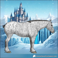 Horse Color:Blue Ice Roan and Blue Ice Roan Appaloosa