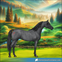 Horse Color:Blue Roan 