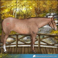 Horse Color:Brown Pearl and Brown Pearl