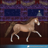 Horse Color:Brown Pearl Sabino  and Brown Pearl Sabino 
