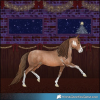 Horse Color:Brown Pearl Sabino  and Brown Pearl Sabino