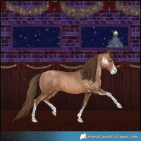 Horse Color:Brown Pearl Sabino  and Brown Pearl Sabino 