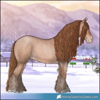 Horse Color:Bay Roan Pearl  and Bay Roan Pearl Rabicano 