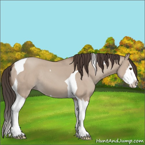 Horse Color:Classic Champagne Dun Splash Tobiano Rabicano 