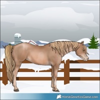 Horse Color:Liver Chestnut Pearl  and Liver Chestnut Pearl 