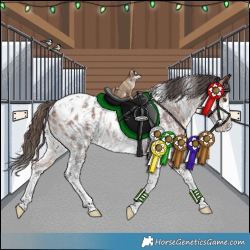 Horse Color:White Spotted Bay Sabino Appaloosa Rabicano 
